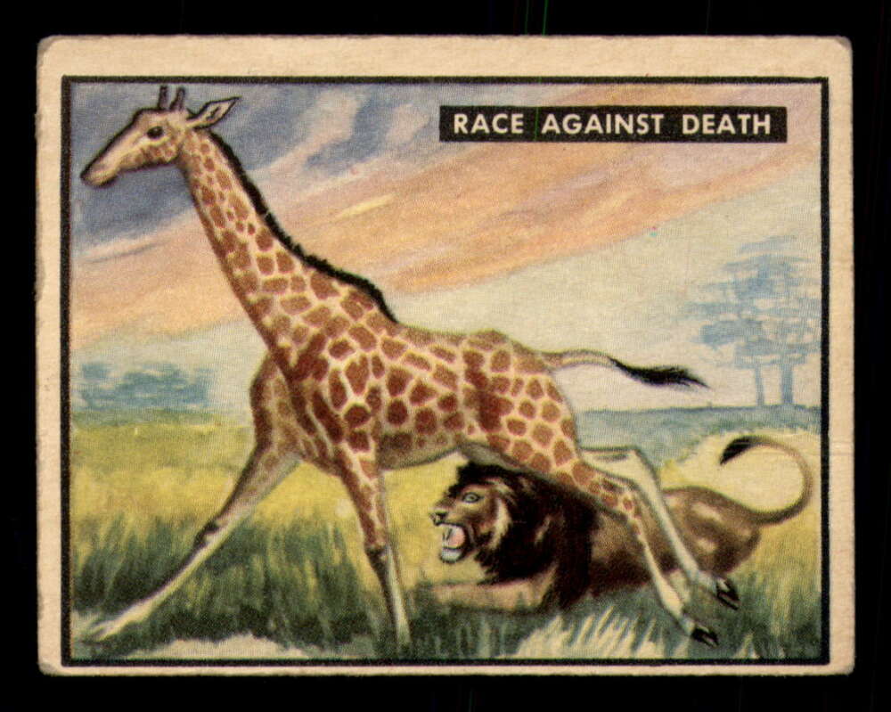 21 Race Against Death